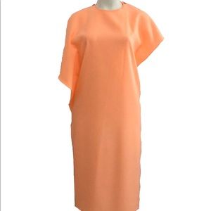 Blaque Label Sheer Ruffle Dress